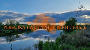 Рыбалка на старице реки Сельдь