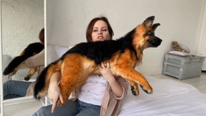 Щенок немецкой овчарки игрушка