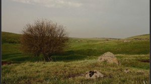 Фильм Казаки