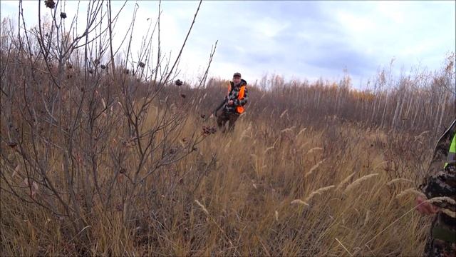 Охота на сибирскую косулю.Сезон 2022г смотреть онлайн