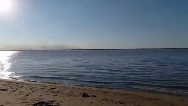 Сюжеты ноября. 2021. Краснофлотский район Хабаровска. смотреть онлайн