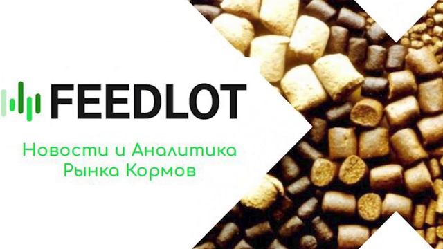 Самая ожидаемая информация о ценах в августе 2023 года! #аналитика #кормовыедобавки#витамины