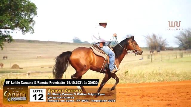 12 SYMON ZORRERO смотреть онлайн