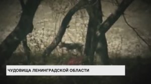 Какие чудовища обитают в Ленинградской области