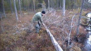 Рыбалка в Карелии (Шуезеро)