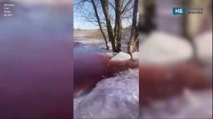 Жители брянского Севска сообщили об экологической катастрофе на реке Сев