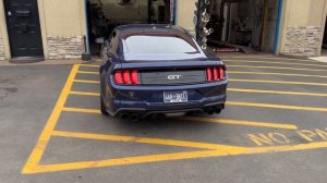 CAMMED Ford Mustang GT 5.0 w/ LONG TUBE HEADERS!