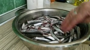 Шкара из хамсы тушенная свежая хамса
