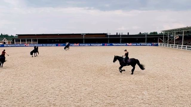 Котильон "Калинка-малинка" на четырех лошадях породы фриз смотреть онлайн