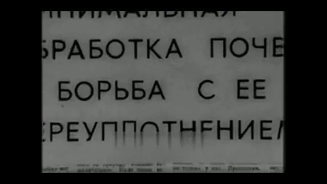 Колесо и Почва. СССР. 1981 год.