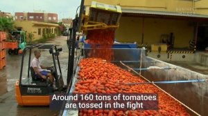 Hundreds Of Tons Of Tomatoes Are Used As Ammo In Spain's Tomatina Festival