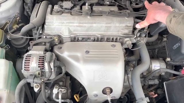 ST210G-4053388 смотреть онлайн