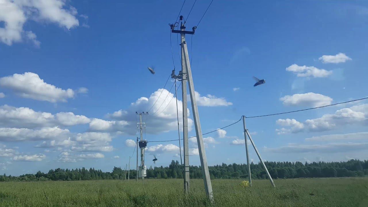 Монтаж ВЛ-10 кВ протяженностью около 2 км (Извозки)