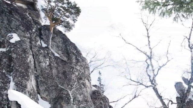 МОЩНЫЙ СНЕГОХОД SKANDIC 550 F SWT по Уральским снегам смотреть онлайн