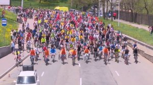 «Вокруг Спорта»: 8 самых полезных для здоровья видов спорта