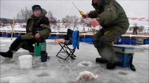 форель на блесну в савельево