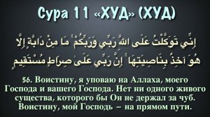 Сура 11 Худ (арабские и русские титры) - Мухаммад Люхайдан
