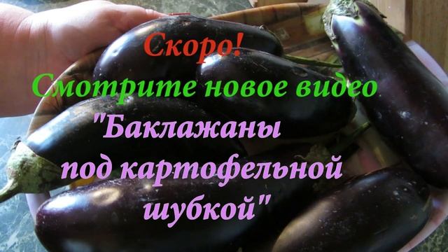 Всеобщее восхищение. Патиссоны, фаршированные мясным фаршем с овощами в духовке. Все просят рецепт