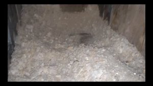 Опилки как подстилка в маточник крольчихе Да или Нет! Sawdust as bedding in the nest rabbit!