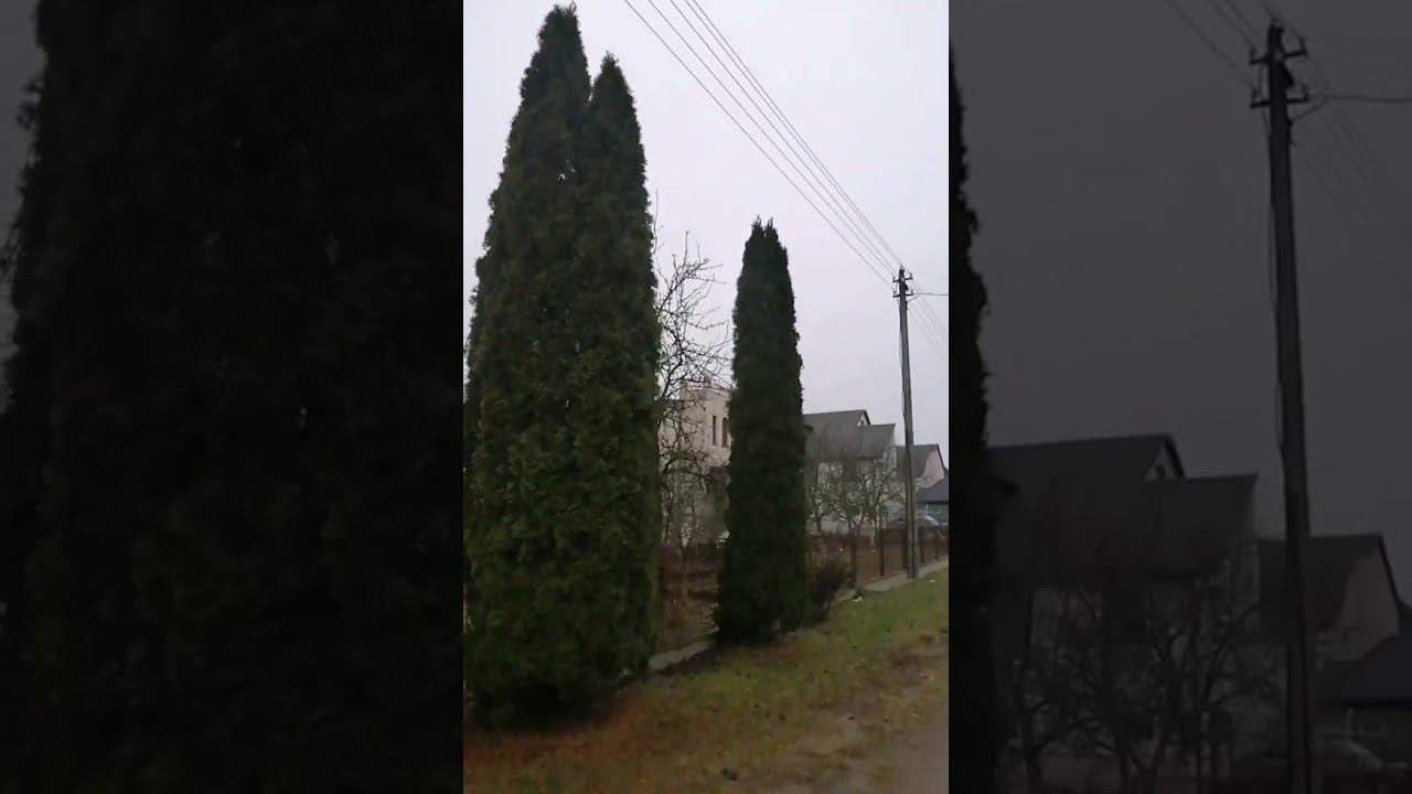 Нагулялось. Напелось. И развеялось смотреть онлайн