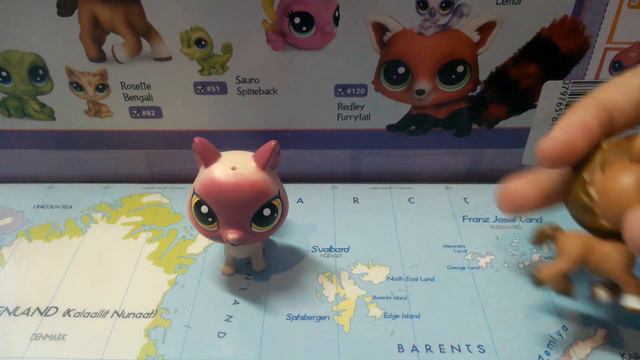 Смотреть всем подписчикам канала! (П.С Спасибо за 70 подписчиков) смотреть онлайн