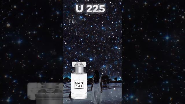 ✨U 225 от Marso бюджетная альтернатива Rehab от Initio✨