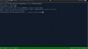 HackTheBox - Busqueda