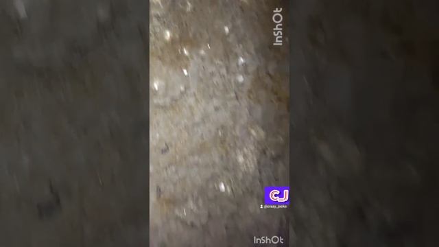 перит. золото дураков дигер продолжение