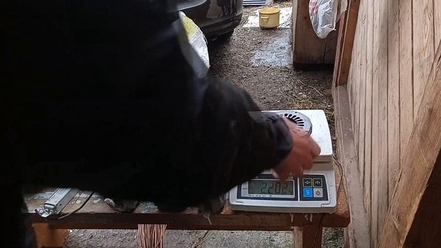 ПЕРЕБИРАЮ ХЛАМ ДОБЫВАЮ ЦВЕТНОЙ МЕТАЛЛ МЕДЬ ЛАТУНЬ ЦИНК АЛЮМИНИЙ СВИНЕЦ смотреть онлайн