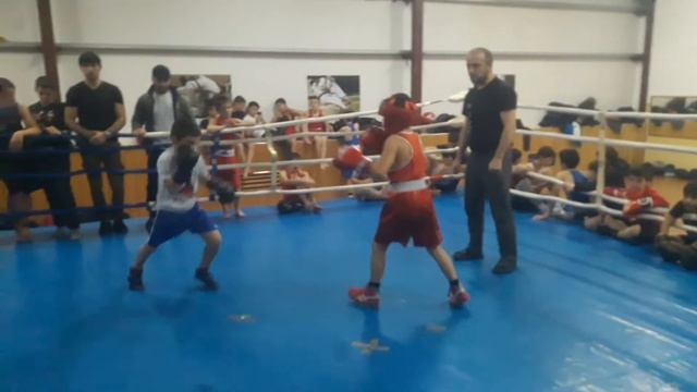 Магомедмухтар 8 лет бокс смотреть онлайн