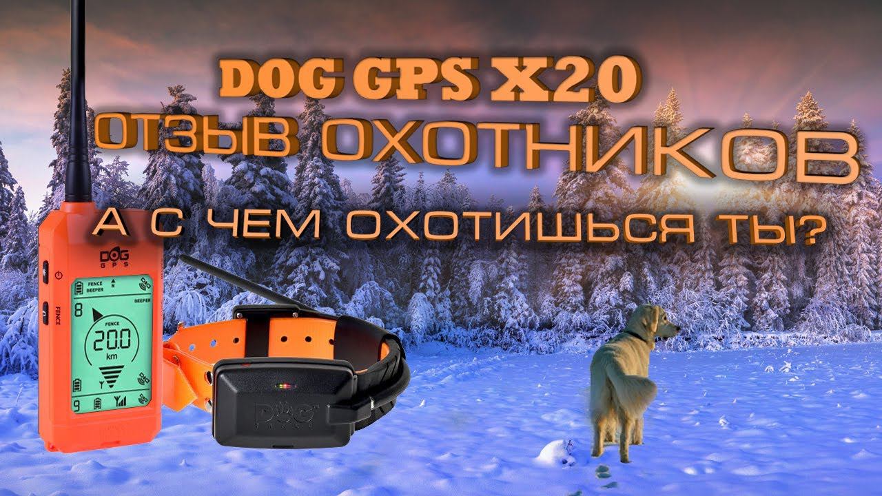 DOG GPS X20 - видеоотзыв охотников смотреть онлайн