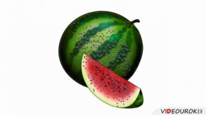 Основные положения МКТ