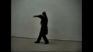 вин чун - тунбэй разминка.