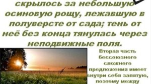 Запятая и точка с запятой в бессоюзном сложном предложении