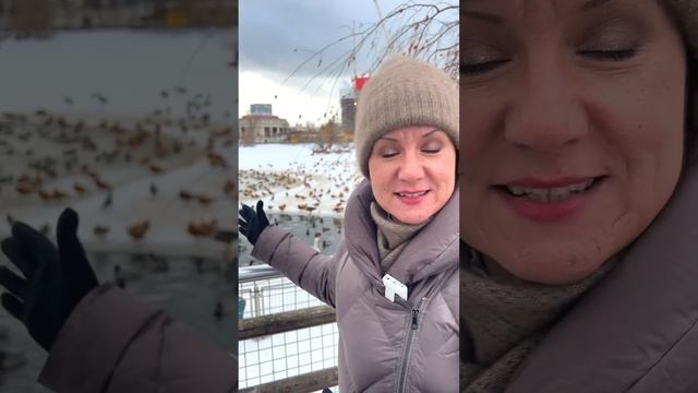 Почему птицы в Московском зоопарке не улетают в теплые края зимой? смотреть онлайн