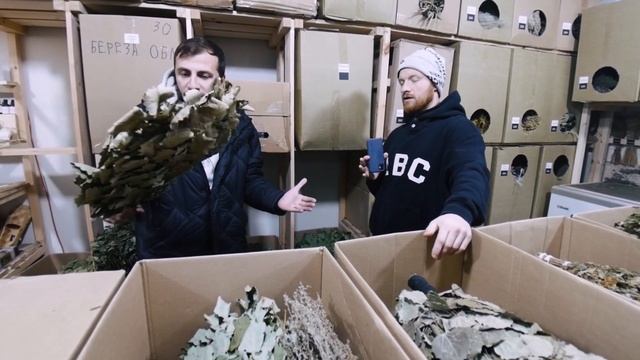 ДУБОВЫЙ ИЛИ БЕРЕЗОВЫЙ ВЕНИК? / Как выбрать веник для бани? / Идеальный веник для парения! / Баня смотреть онлайн