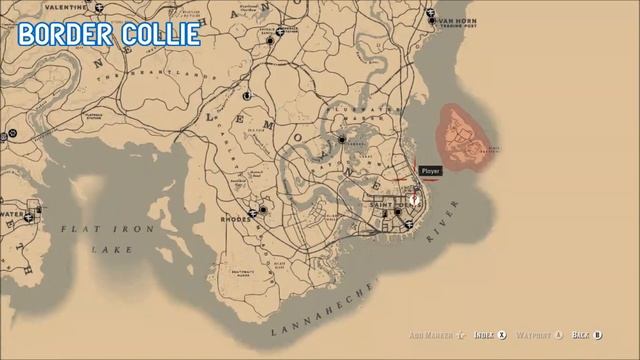 Red Dead Redemption 2 - All Dog Locations