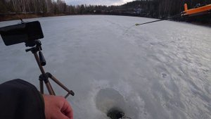 НА НОВУЮ БЕЗМОТЫЛКУ клюёт! Зимняя рыбалка, ловля ПЛОТВЫ и ПОДЛЕЩИКА.