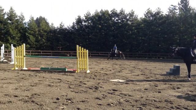 Godiva 2 - California Riding Academy смотреть онлайн