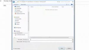 PolyWorks: Workspace Explanation