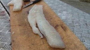 Рыба-СТРАШИЛИЩЕ - МОЛЬВА.