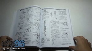 Книга по ремонту автомобиля Бид Флаер (BYD Flyer)