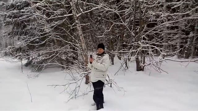 Polaris sportsman 800 идет на помощь Yamaha Rino смотреть онлайн