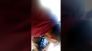 Ваз 2102 Замена панели приборов