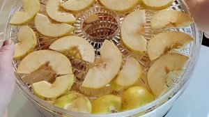 Фрипсы. Сушилка для овощей и фруктов Мастерица СШ-0305.