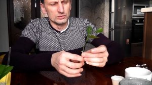 Ускоренное размножение цитрусов