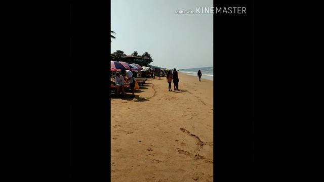 Пляж Анджуна. Гоа. Индия. Beach Anjuna. Goa. India. 19.02.2020