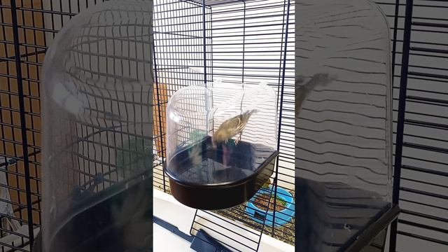 Содержание_чижачасть 2