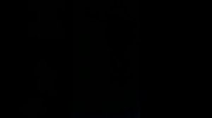 Обзор тростей "Vandoren"