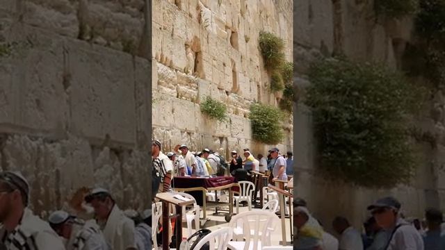 Стена Плача в Иерусалиме. Молитва У Западной Стены Praying At Western Wall#nature #traveltiktok #tr